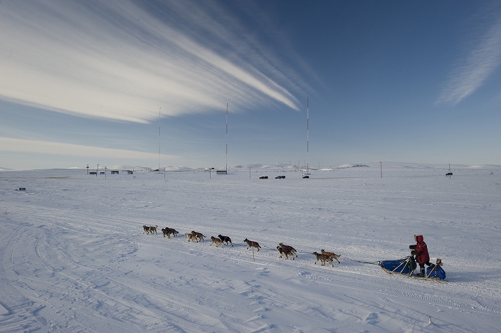 Musher on the Iditarod trail just outside of Nome, Alaska during the 2009 Iditarod