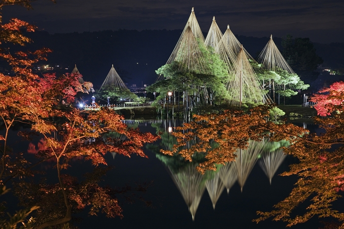 Karasaki pine tree lit up in Kenrokuen Garden in autumn leaves, Ishikawa