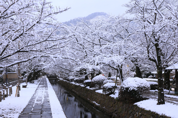Philosopher's Path and Mt. Daimonji on a snowy morning
