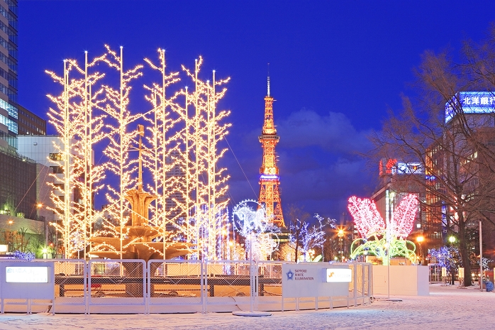 Hokkaido Sapporo White Illumination