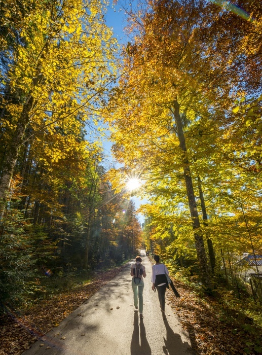 Germany Sun shines through colorfully autumn leaves, two strollers in the forest in autumn, Walchensee, Upper Bavaria, Bavaria, Germany, Europe, Photo by Mara Brandl