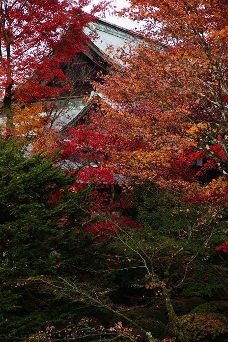 Rinnouji Temple in Nikko