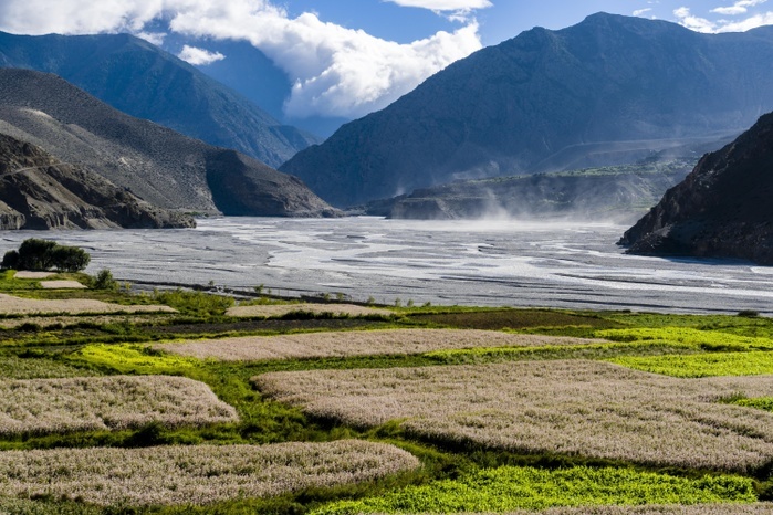 Nepal View of agricultural landscape, Kali Gandaki valley with barley and buckwheat fields, strong winds raising dust clouds, Kagbeni, Mustang District, Nepal, Asia, Photo by Frank Bienewald