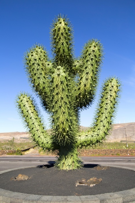 Giant green cactus sculpture, near Jardin de Cactus, by César Manrique, Guatiza, Lanzarote, Canary Islands, Spain, Europe, Photo by Ian Murray