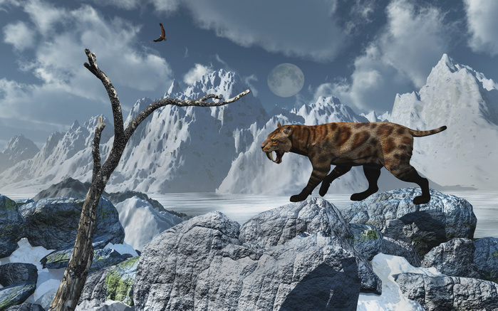 A lone Sabre Toothed Tiger in a cold Pleistocene winter landscape. A lone Sabre Toothed Tiger in a cold Pleistocene winter landscape.