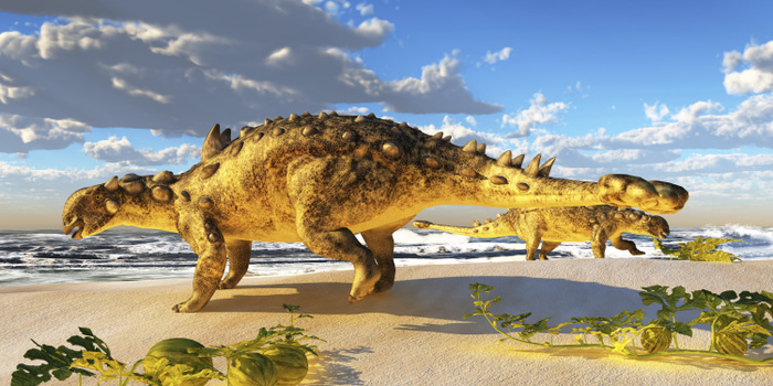 Euoplocephalus dinosaurs munch on melons on an ocean beach. Euoplocephalus dinosaurs munch on melons on an ocean beach.