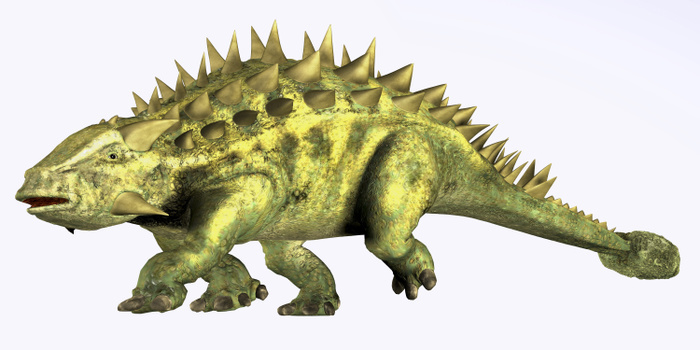 Talarurus dinosaur from the Cretaceous Period. Talarurus dinosaur from the Cretaceous Period.