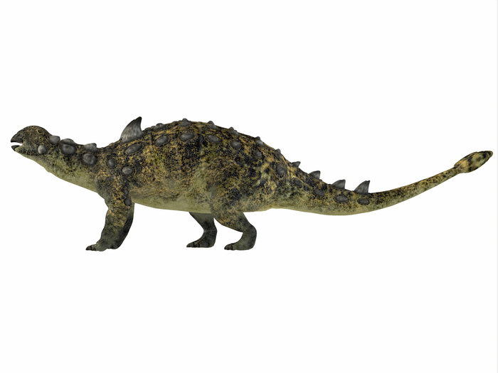 Euoplocephalus armored dinosaur. Euoplocephalus armored dinosaur.