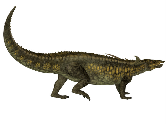 Desmatosuchus armored dinosaur. Desmatosuchus armored dinosaur.