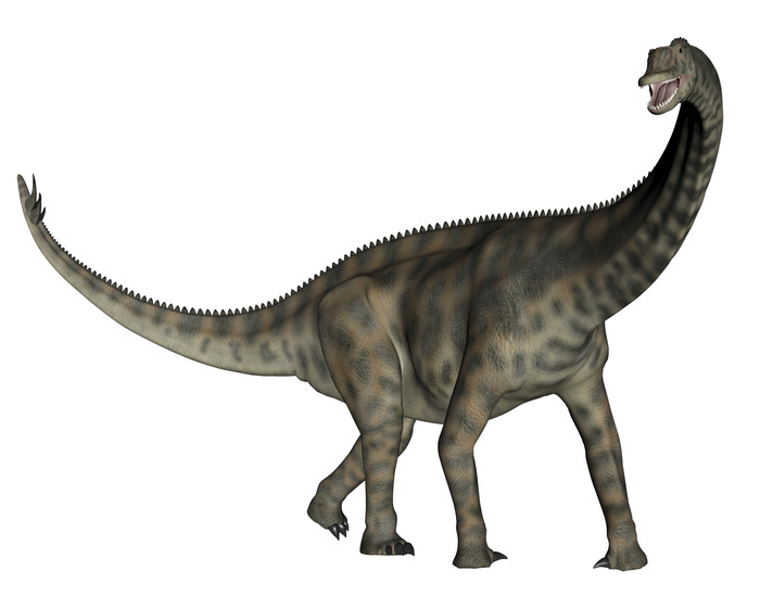 Spinophorosaurus dinosaur. Spinophorosaurus dinosaur.