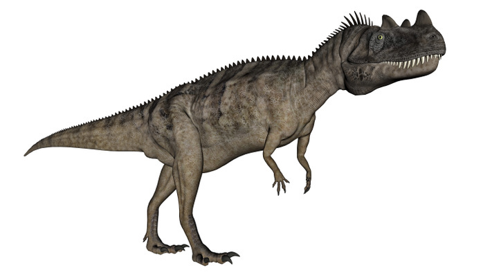 Ceratosaurus dinosaur. Ceratosaurus dinosaur.
