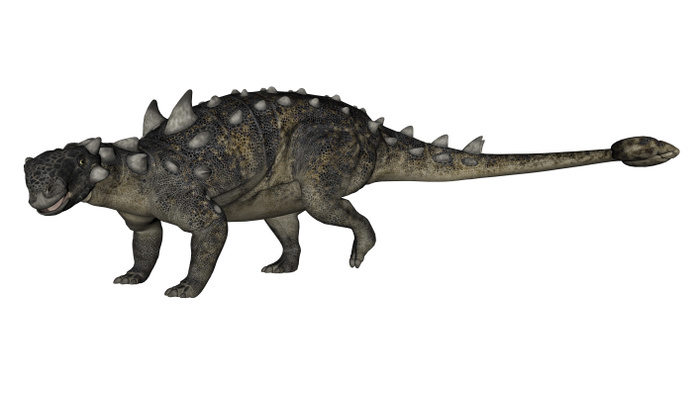 Euoplocephalus dinosaur. Euoplocephalus dinosaur.