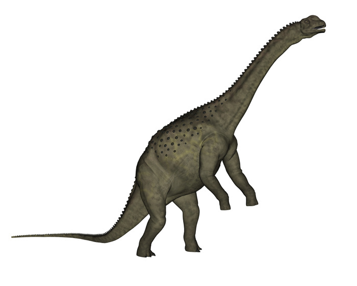 Uberabatitan dinosaur isolated on white background. Uberabatitan dinosaur isolated on white background.