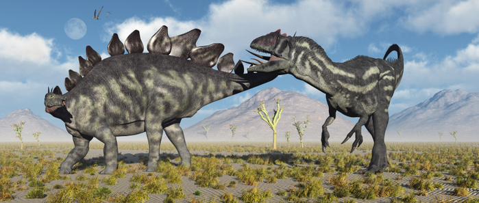 A Stegosaurus defending itself from a predatory Allosaurus attack. A Stegosaurus defending itself from a predatory Allosaurus attack.