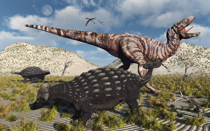 An Ankylosaurus defending itself from an attacking Tyrannosaurus rex. An Ankylosaurus defending itself from an attacking Tyrannosaurus rex.