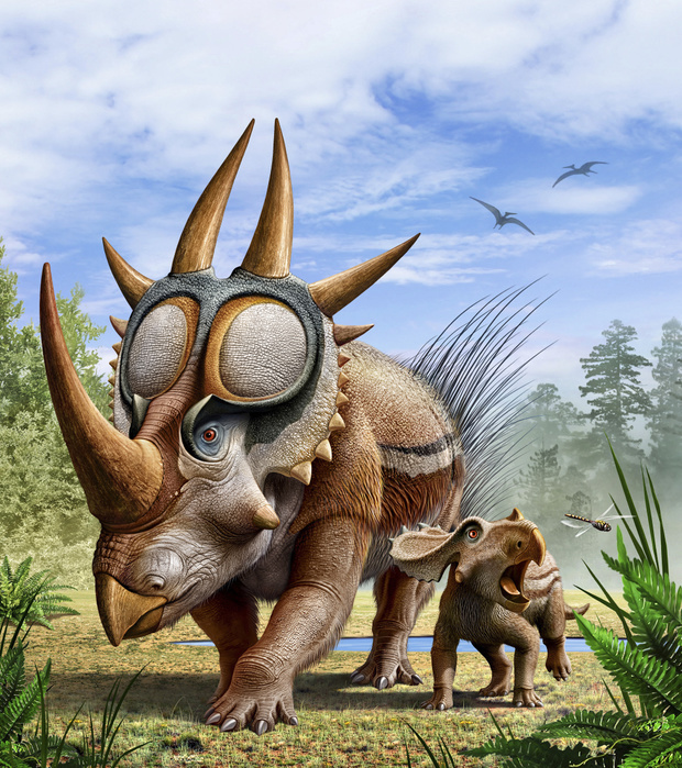 A Rubeosaurus and his offspring. A Rubeosaurus and his offspring.